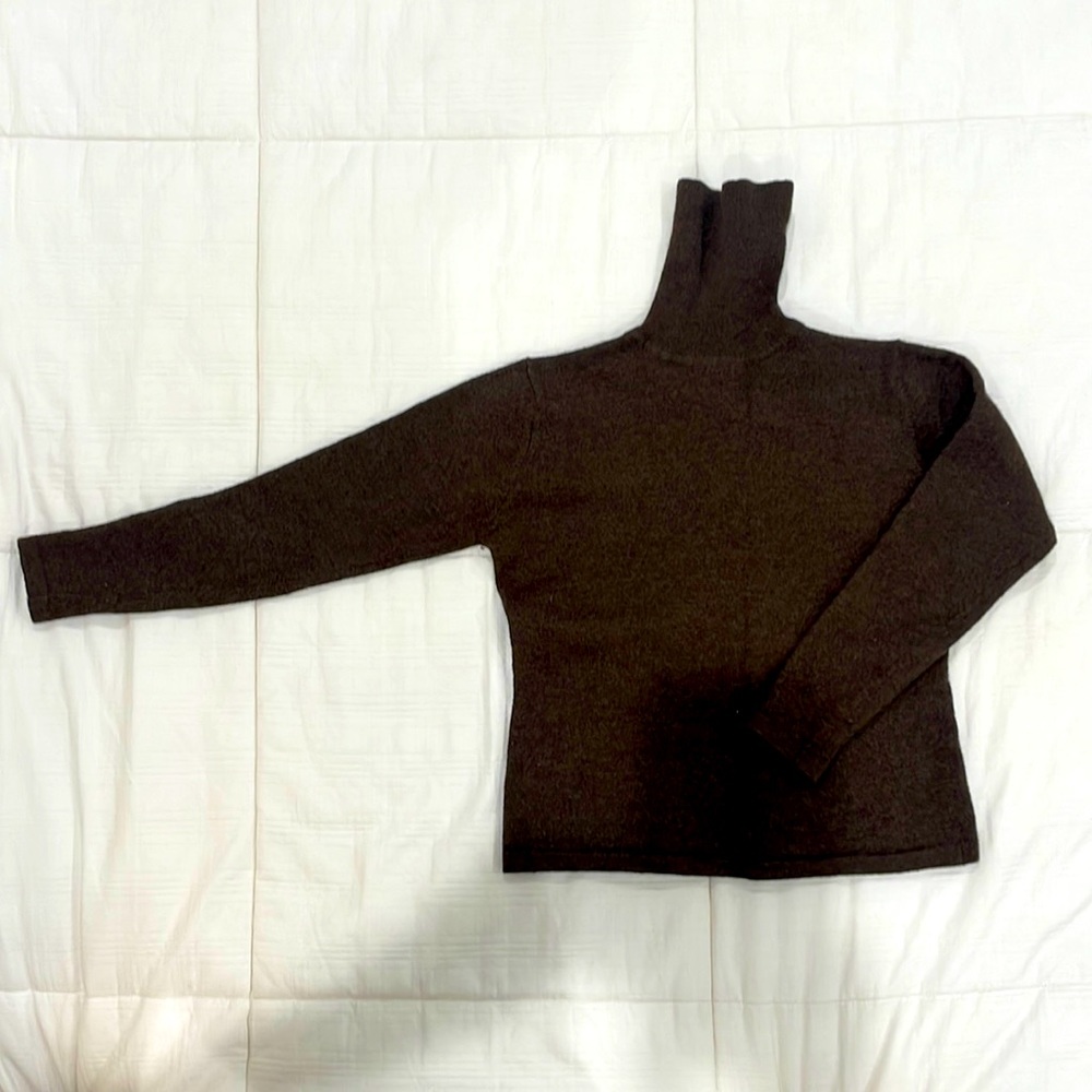 Charter Club cropped turtle neck 100% pure new wool in brown color